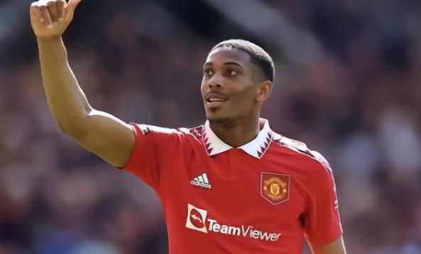 京多安感受 京多安感受