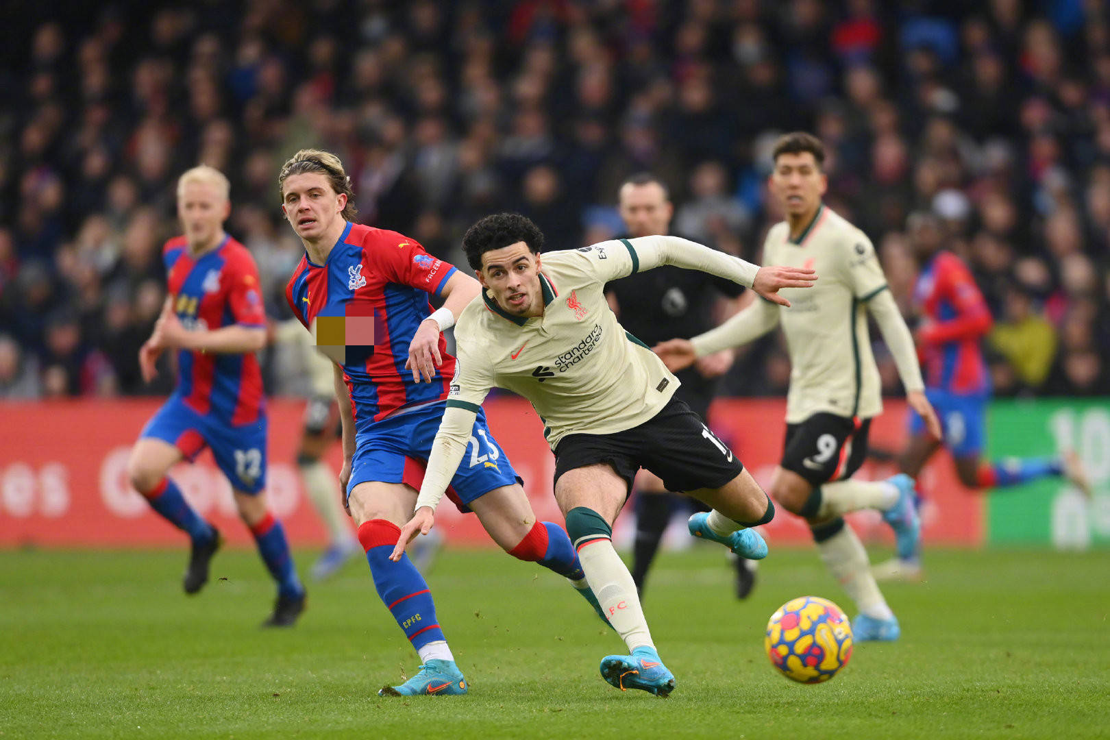 的比赛历练 的比赛历练